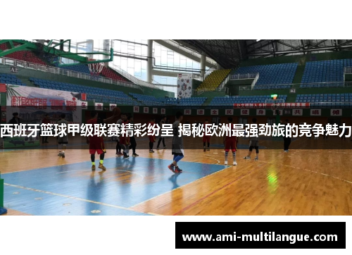 西班牙篮球甲级联赛精彩纷呈 揭秘欧洲最强劲旅的竞争魅力 西班牙篮球甲级联赛精彩纷呈 揭秘欧洲最强劲旅的竞争魅力