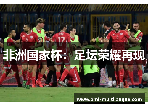 非洲国家杯:足坛荣耀再现 非洲国家杯:足坛荣耀再现